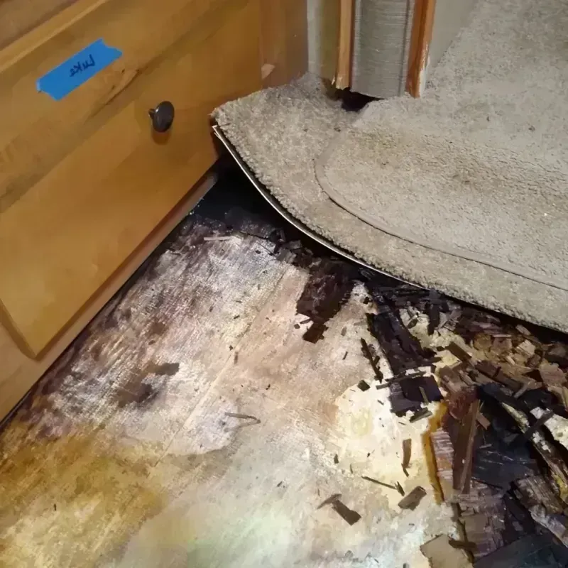 Wood Floor Water Damage in Cedar Hill, TX